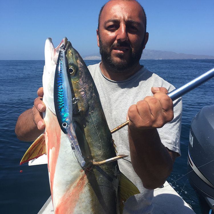 Angler with a fishing rod caught a fish in California