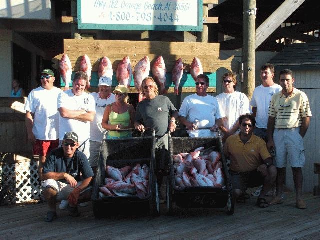 Two small fish and 11 anglers fishing at Orange Beach