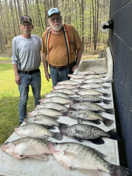 Large catch of crappie and other fish displayed on truck tailgate in Pope MS