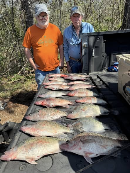 Impressive fishing catch of multiple fish species displayed on truck tailgate in Pope MS