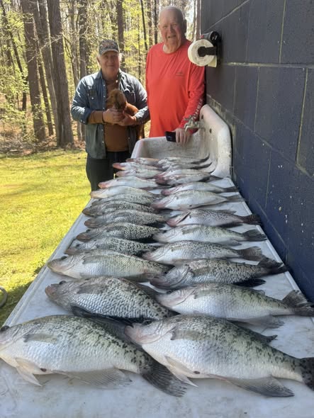 Large fishing catch display with multiple fish species laid out on table in Pope MS