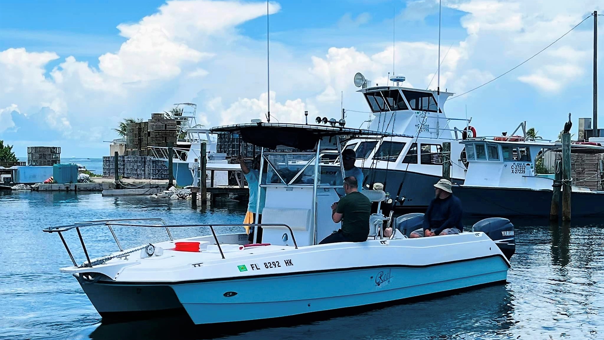 Pro Kat (Catamaran)