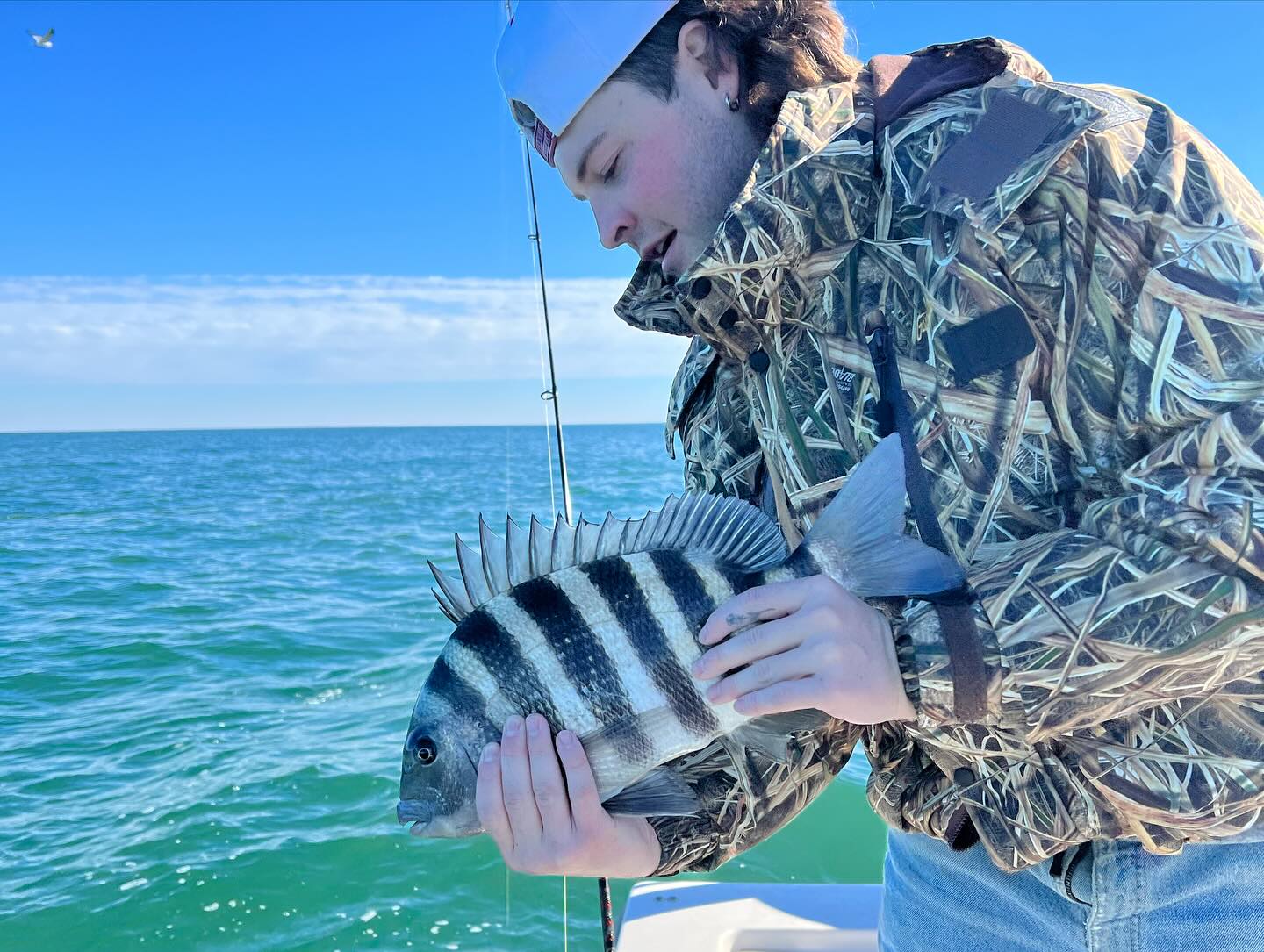 Sheepshead fish catch by angler in Port Royal