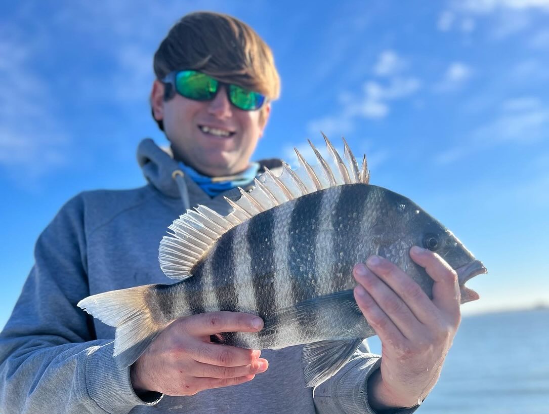 Sheepshead fish caught on fishing trip in SC