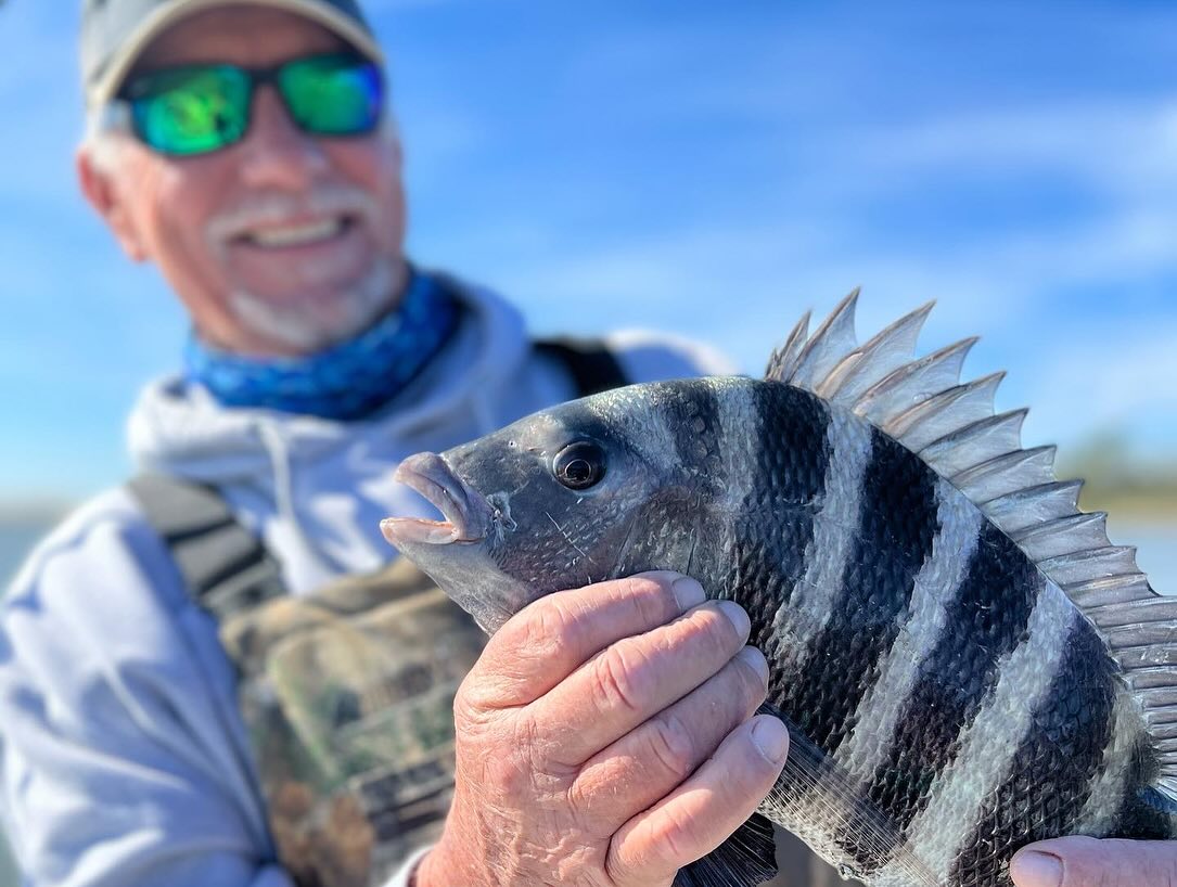 Sheepshead fish caught while fishing in SC