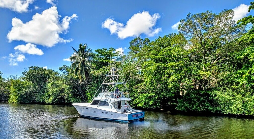 Scenic landscape in FL