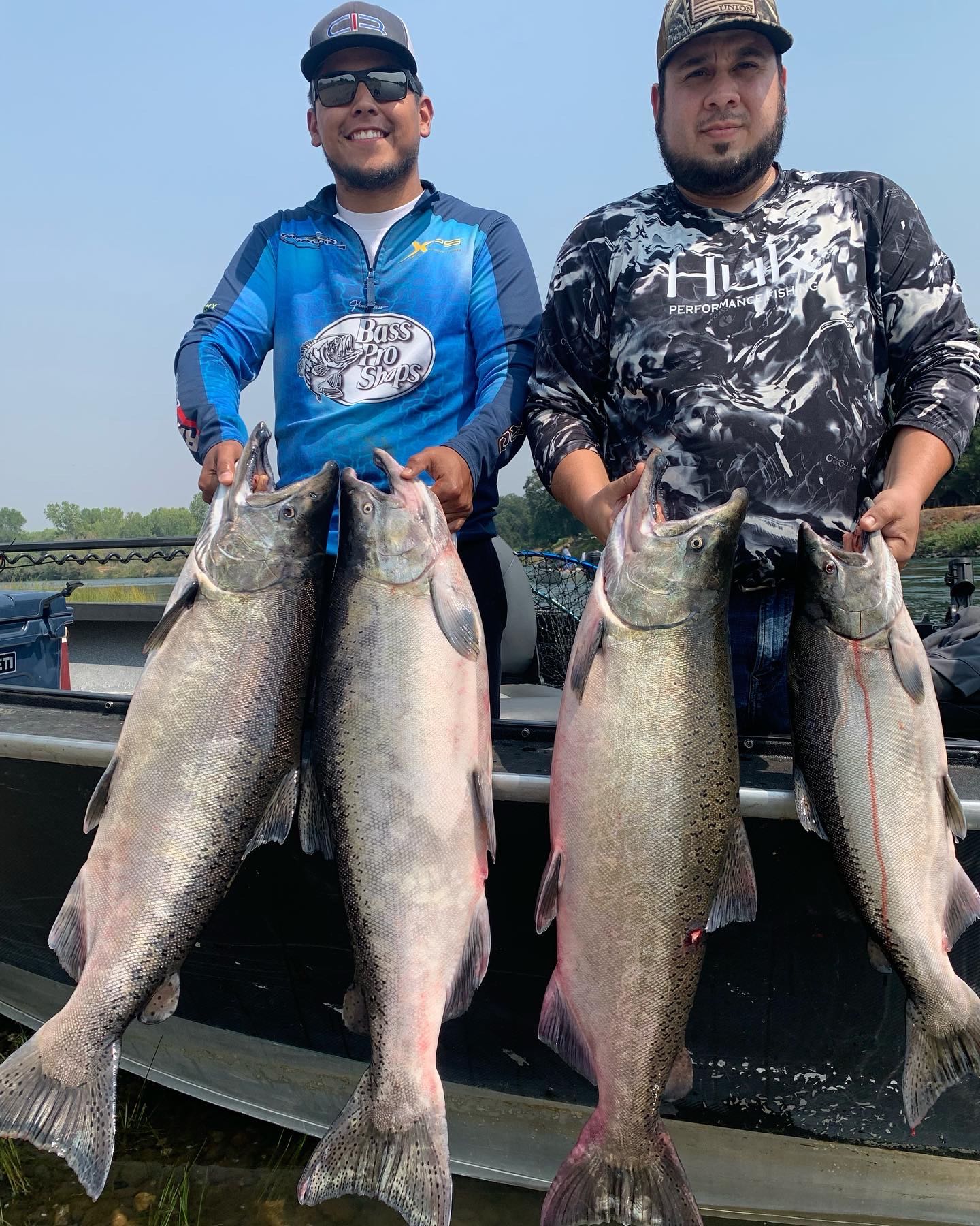 Four large Chinook salmon caught fishing in Anderson CA displayed on boat