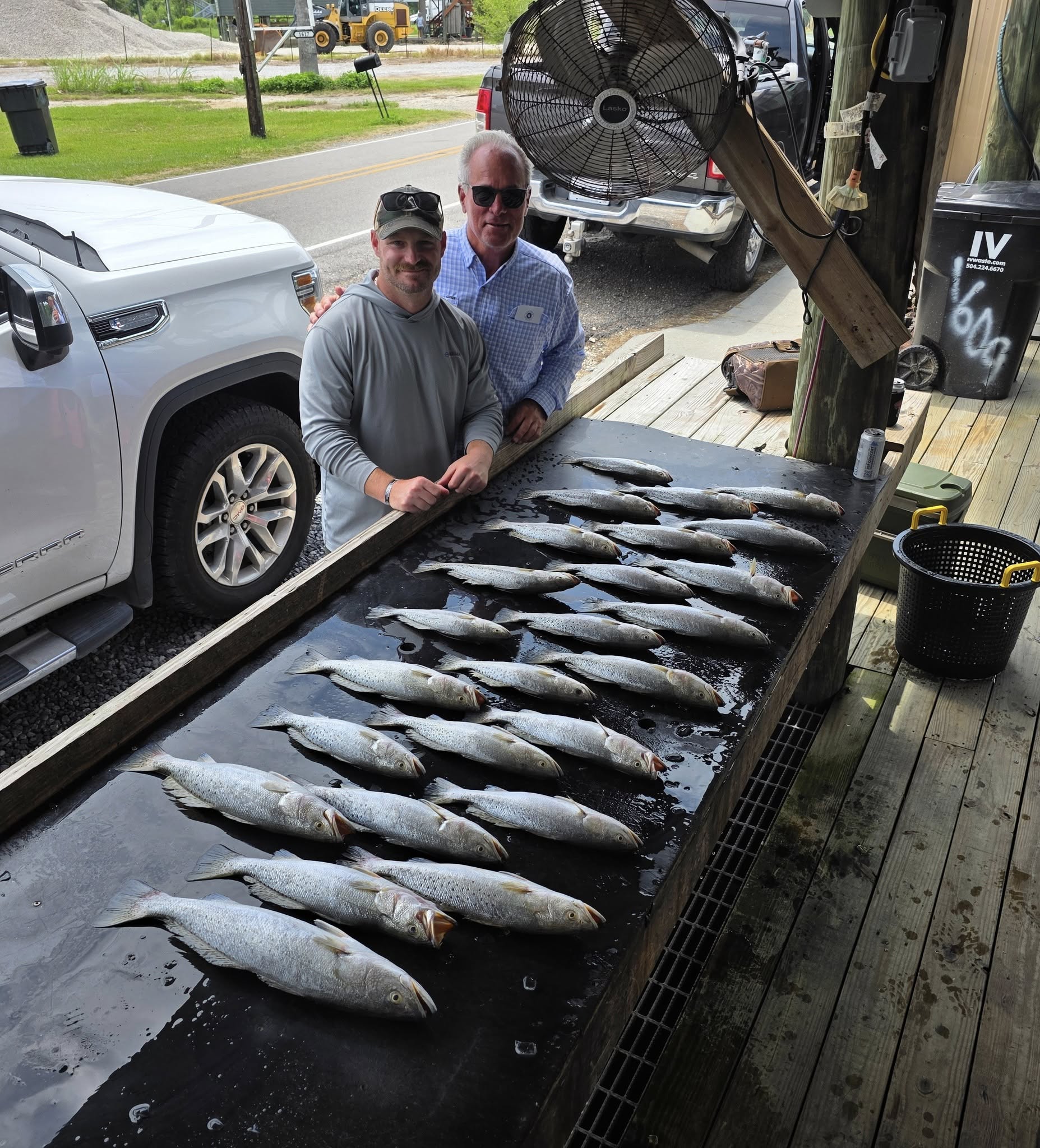 Three spotted weakfish caught while fishing in St Bernard