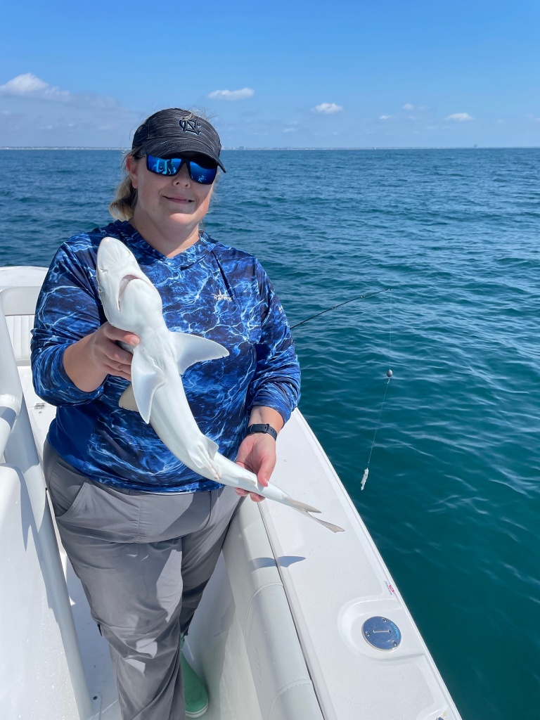 Bonnethead Shark, 16 inches, in Murrells Inlet