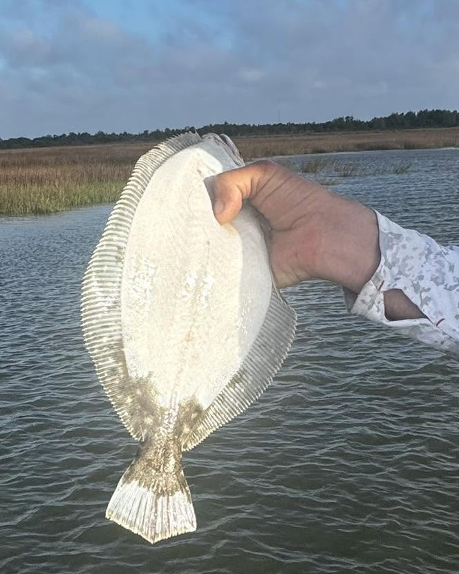 Summer flounder caught fishing on Bolivar Peninsula TX held over water