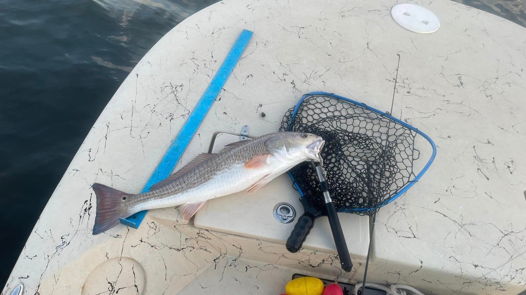 Choctawhatchee Bay Top Redfish Charter