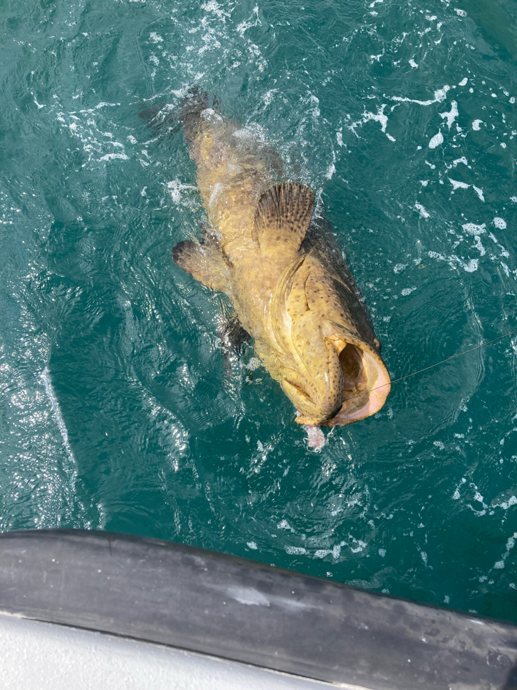Florida Grouper Fishing