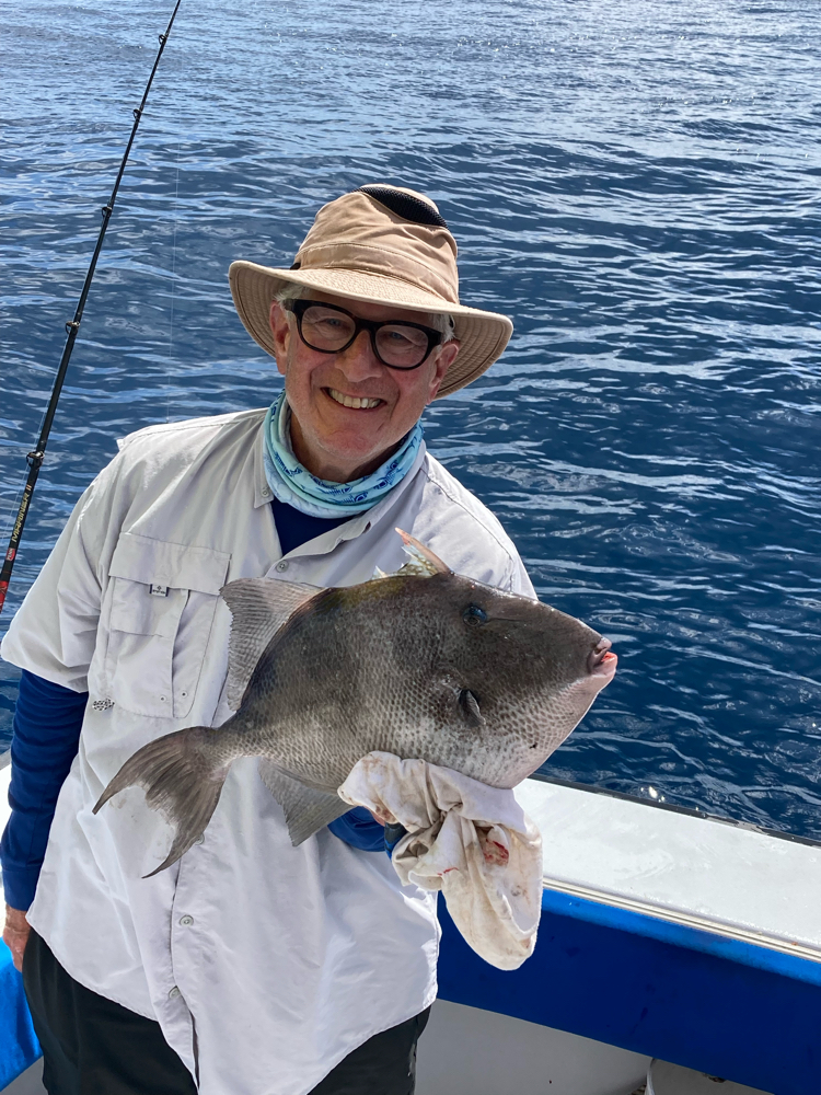 2/19/22-Grey Triggerfish in Palm Beach, FL