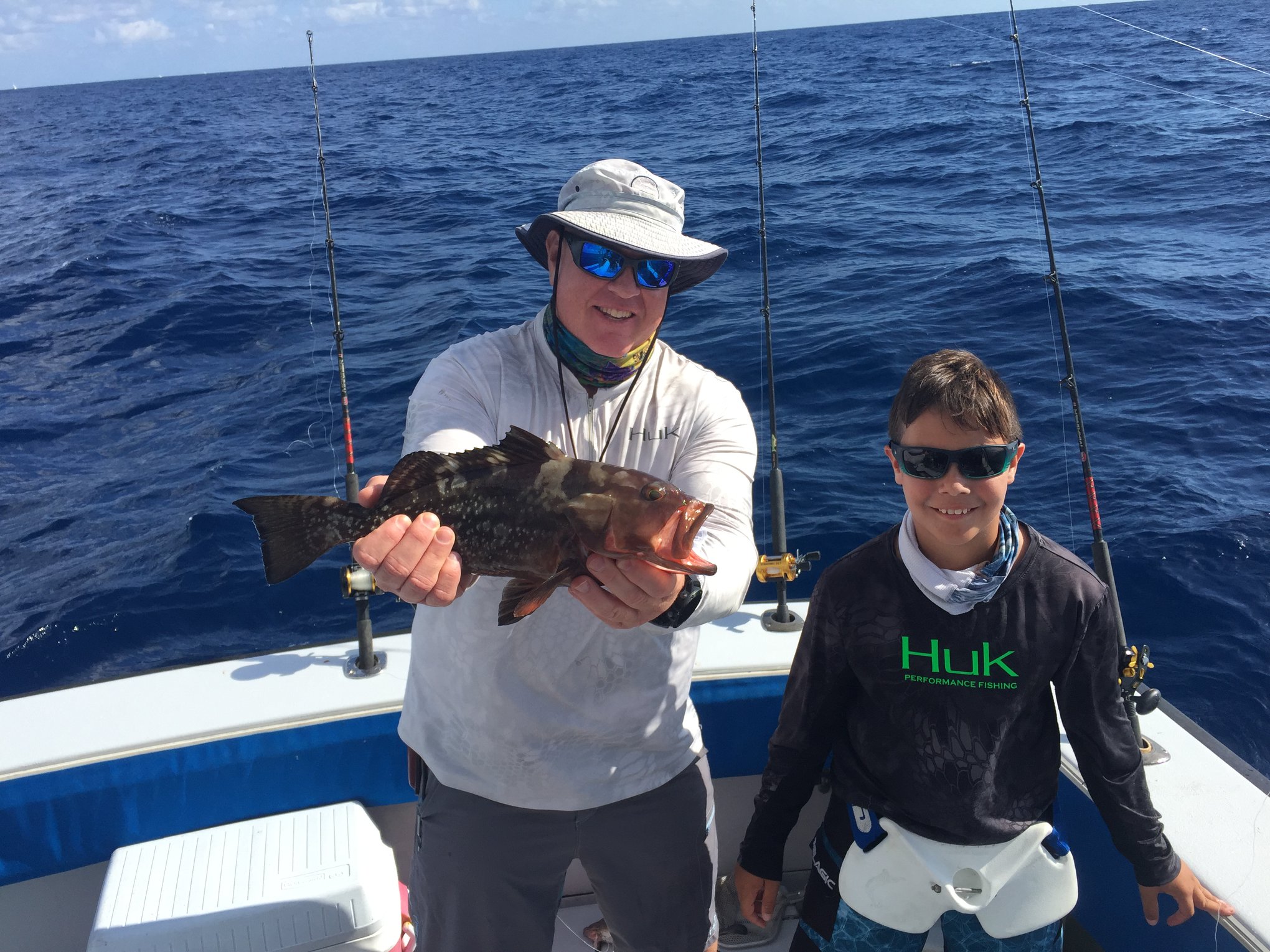 Gulf Grouper in Florida