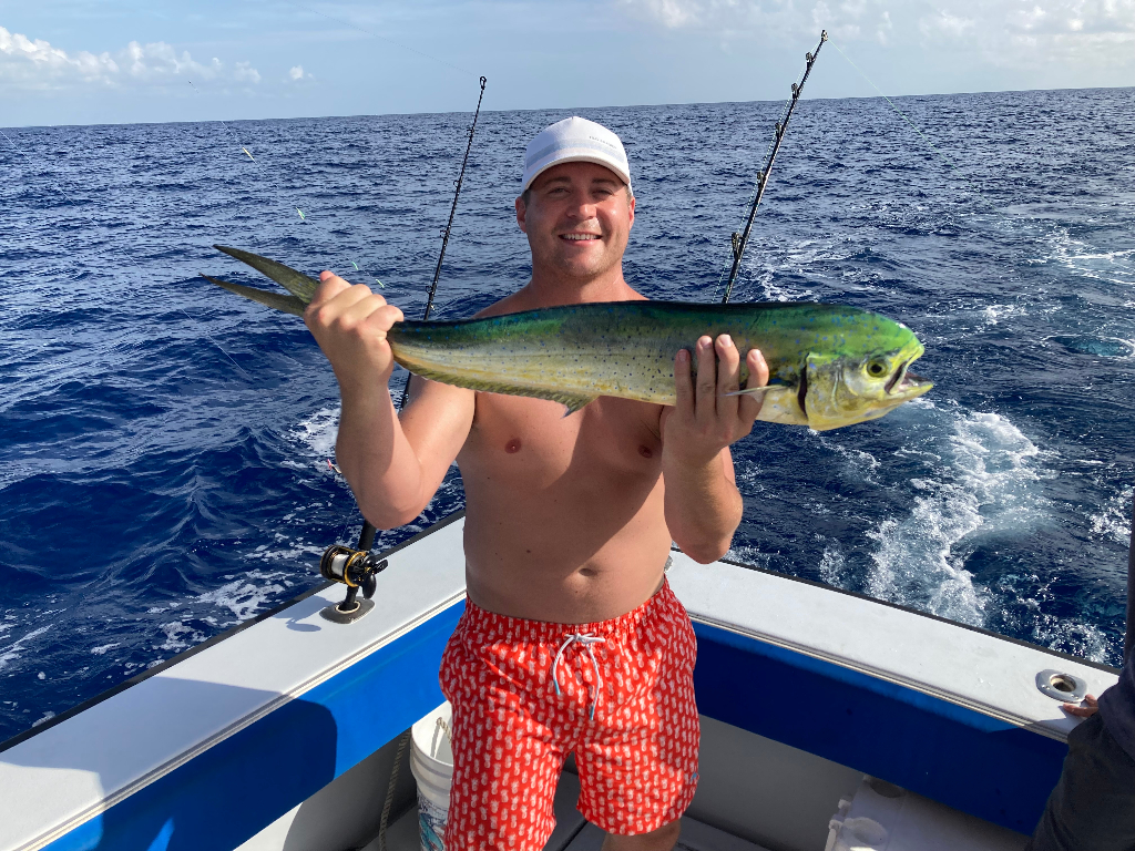 Dolphinfish in West Palm Beach