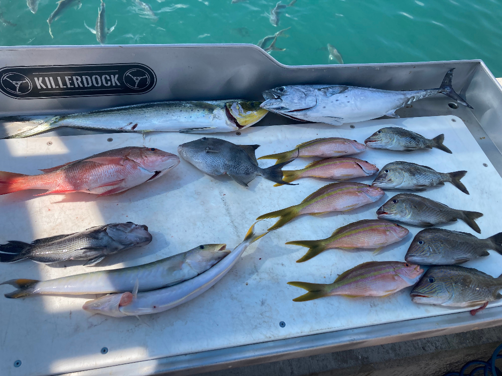 Offshore Fishing in Palm Beach, FL