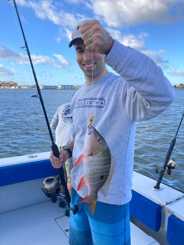 Mutton snapper Fish Reeled From Florida