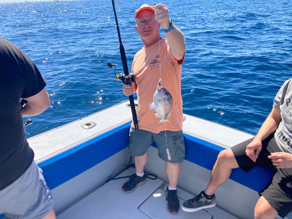 Fish-Species