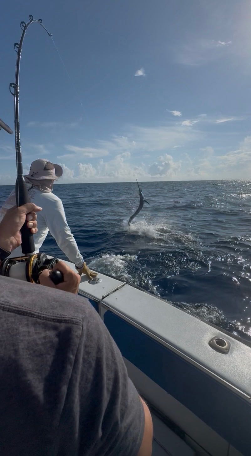 Sport fishing action with marlin jumping out of water near fishing boat in Riviera Beach FL
