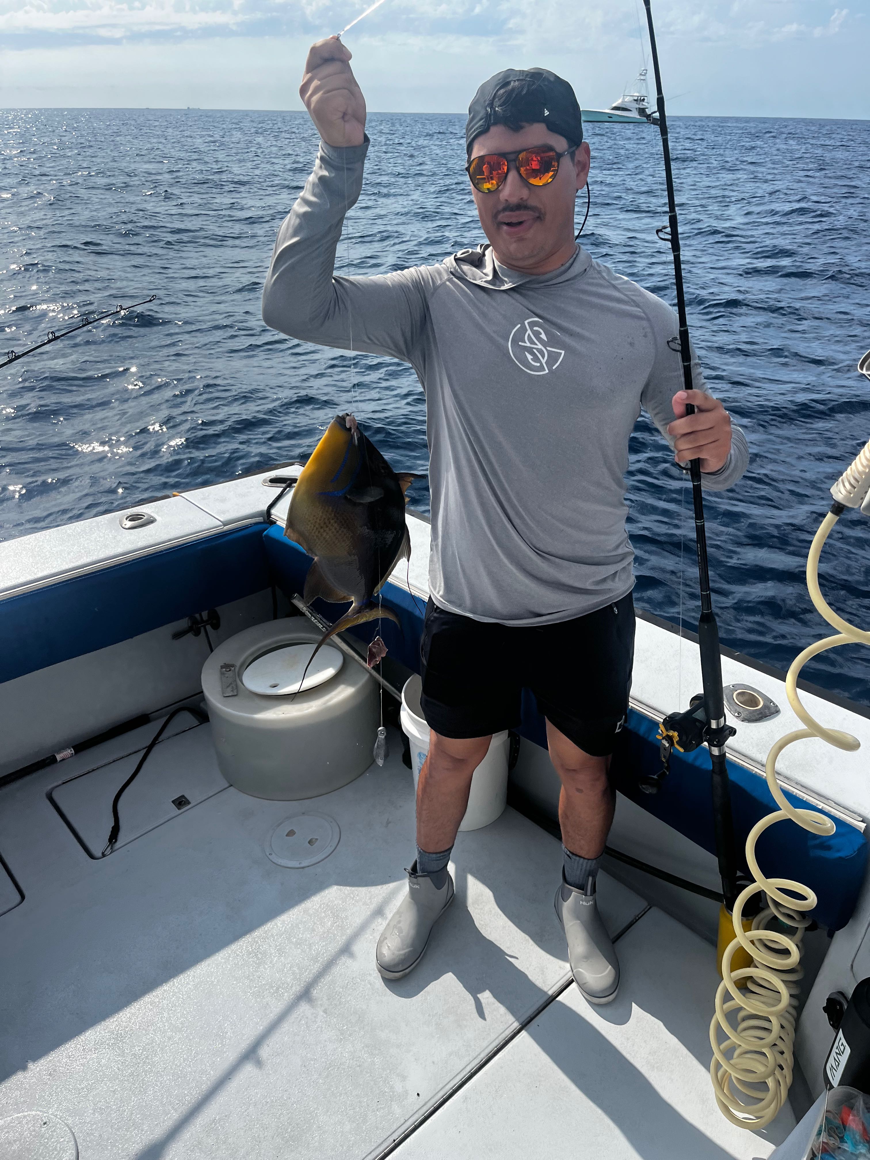Queen Triggerfish caught during fishing charter in Riviera Beach FL