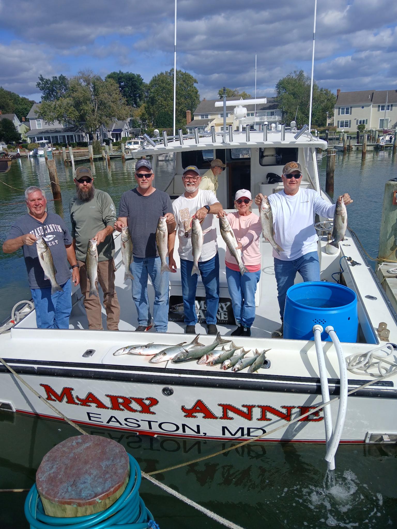 Striped Bass and White Bass caught while fishing in MD