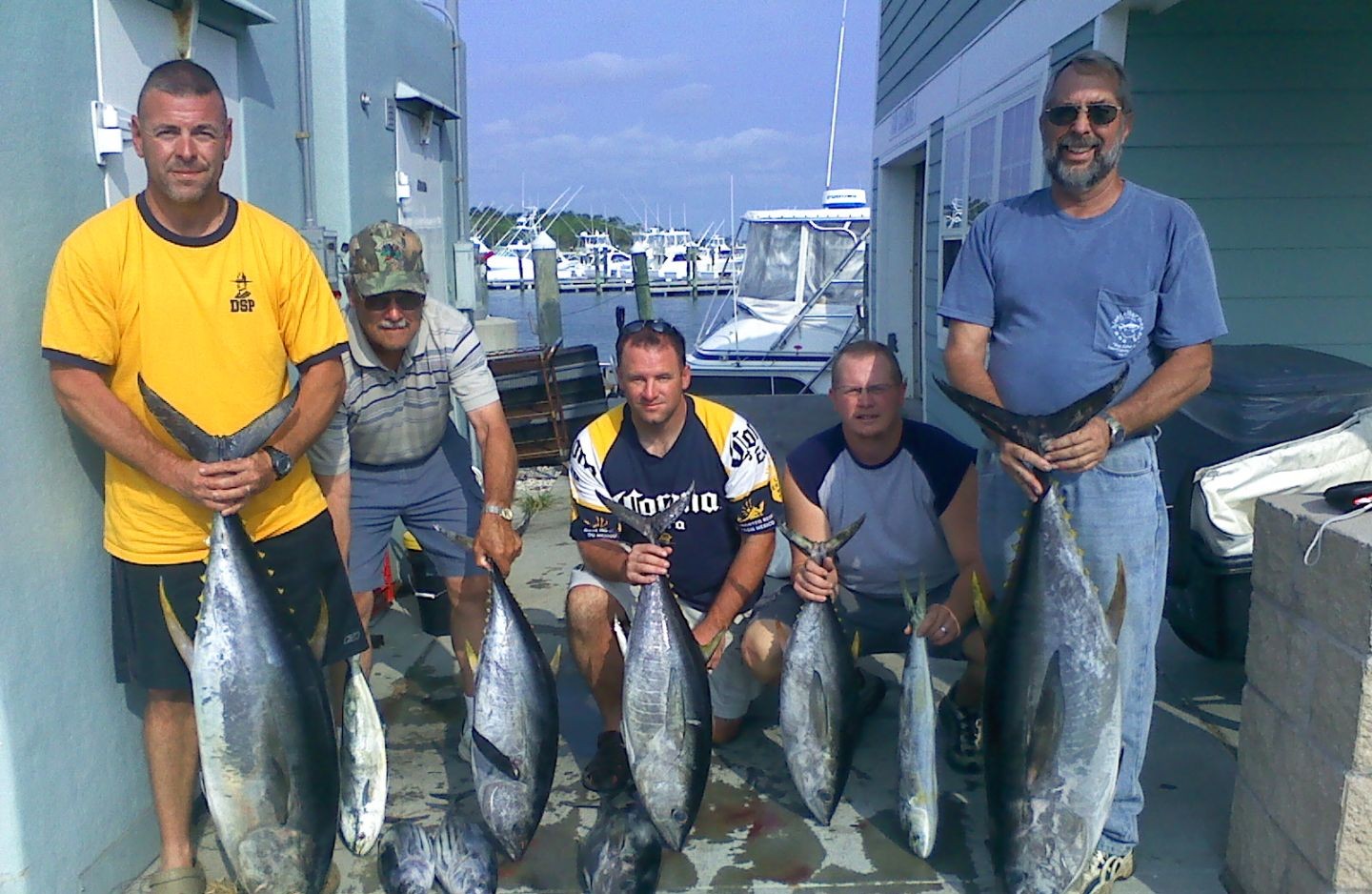 5 big fish caught while fishing in the ocean view