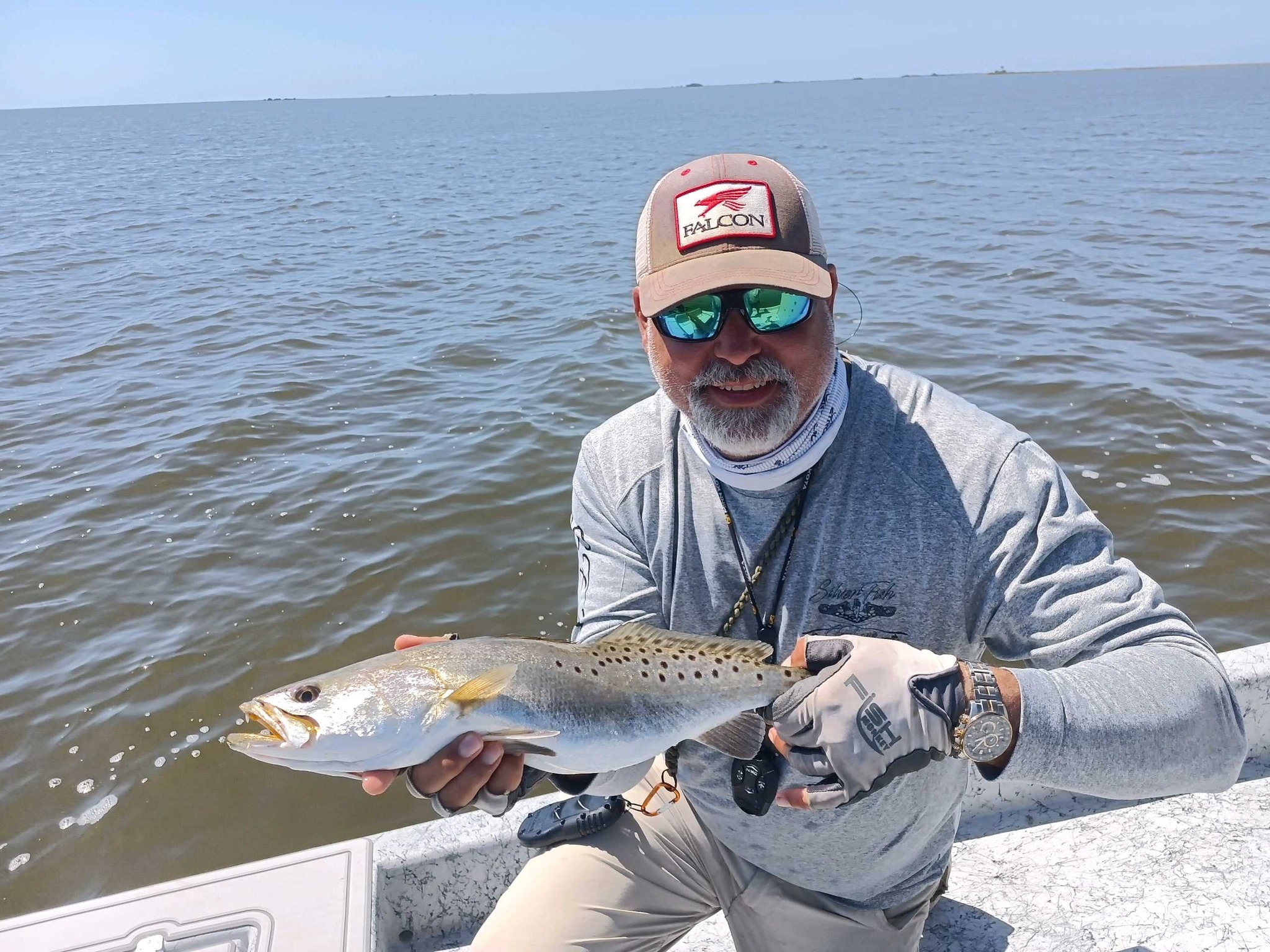 Spotted Weakfish, 13-inch freshwater fish caught while fishing in FL