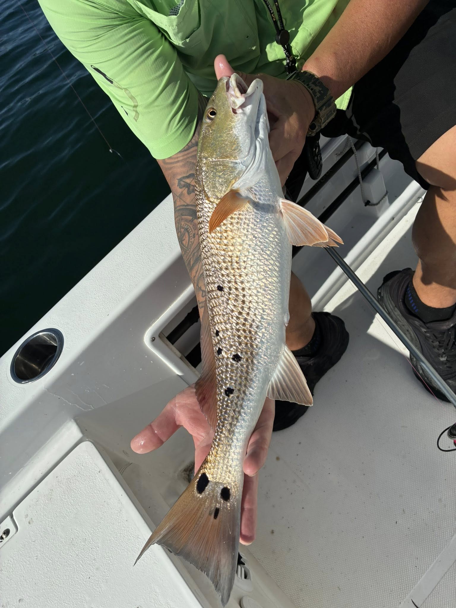 One fish caught in FL fishing