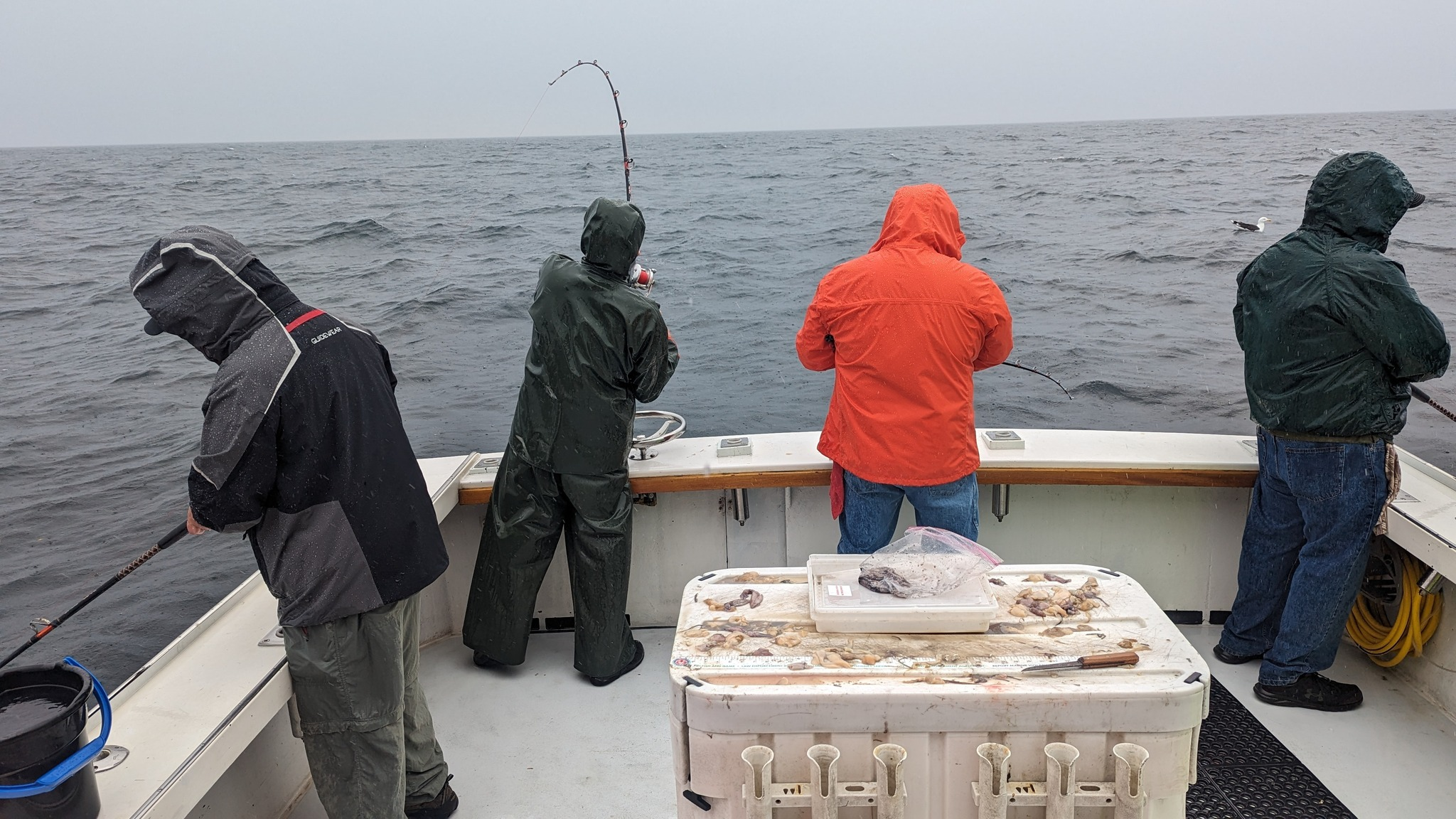 Scenic landscape in NH showing fishing activity