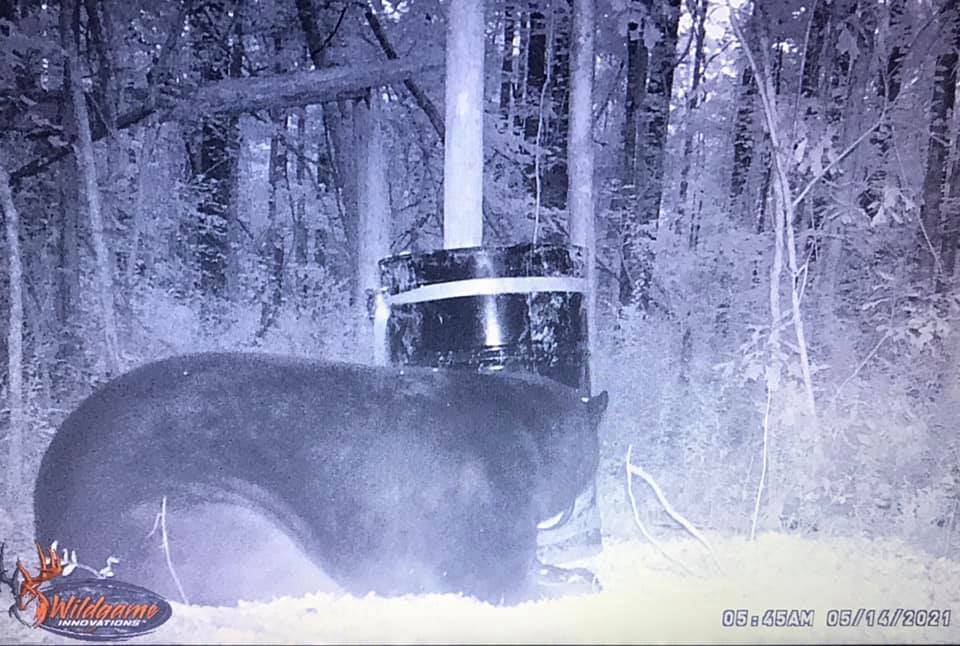 Hunting adventure in NC