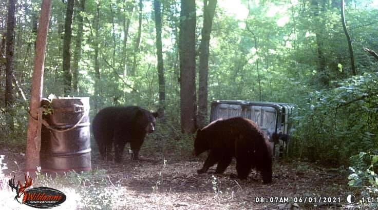 Hunting for the best in NC