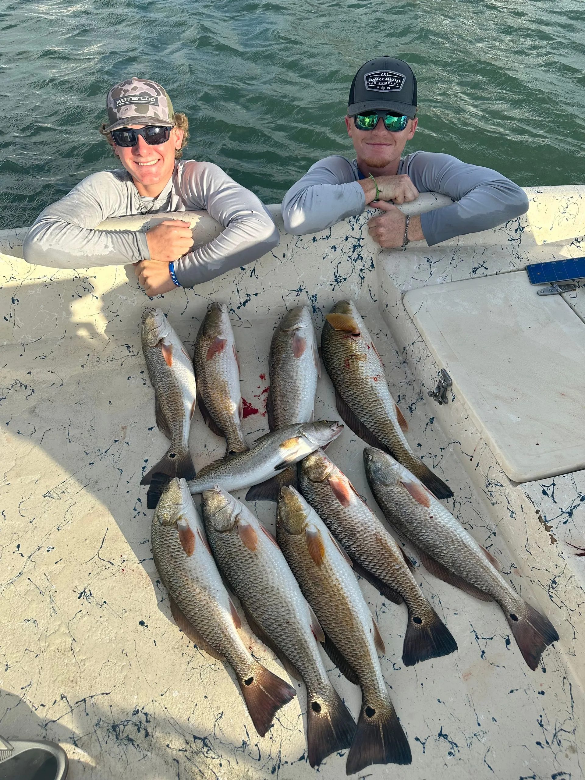 6 redfish and spotted weakfish caught in TX
