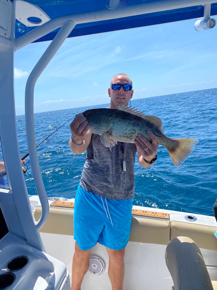 Gag Grouper, a big fish caught in Tarpon Springs