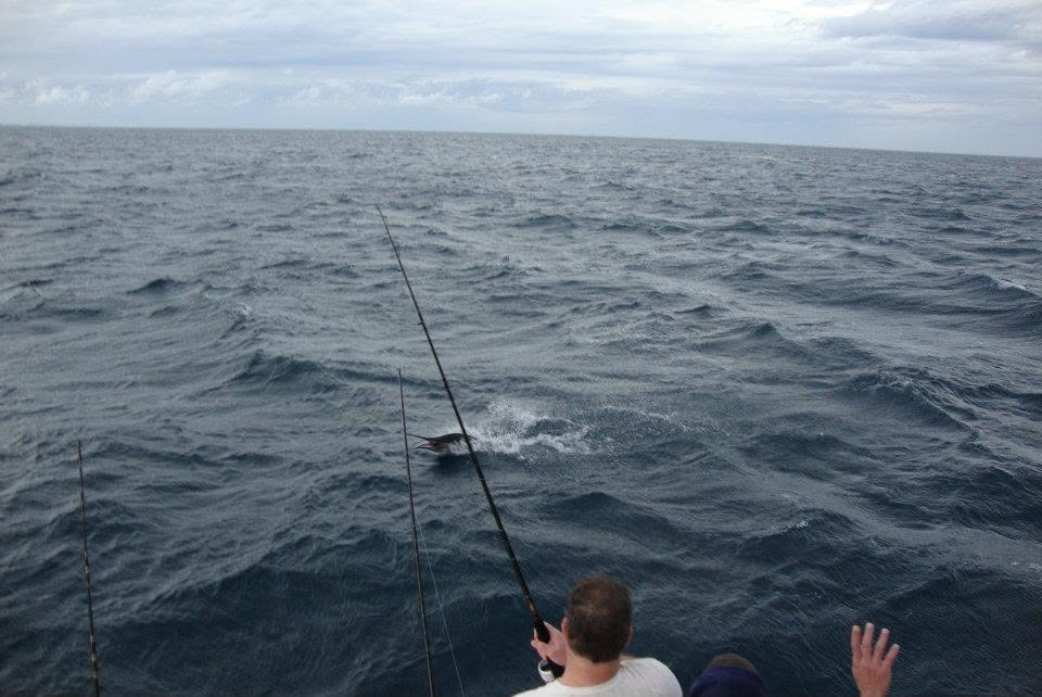 Deep sea fishing action with bent rod and splash in choppy ocean waters off Sebastian FL
