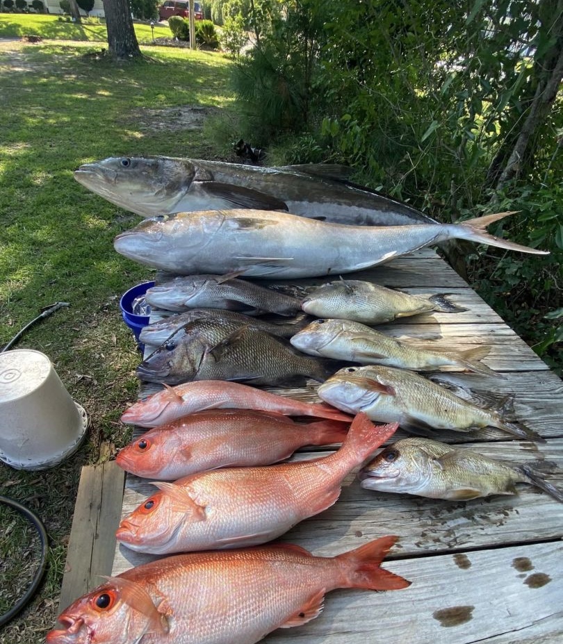 Six mutton snapper caught during fishing tour in Morehead City