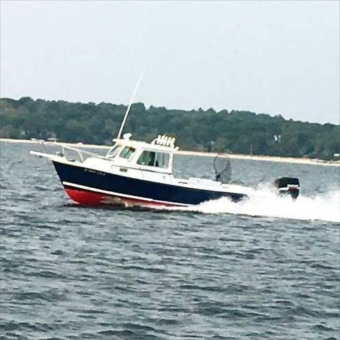 Great fishing in NY