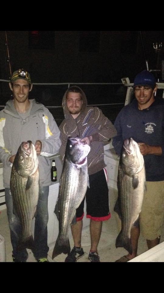 3 striped bass caught on a fishing trip in NY