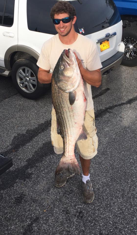 Striped bass caught in Montauk, New York