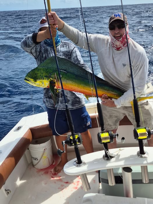 Mahi mahi caught while fishing in Dorado PR waters