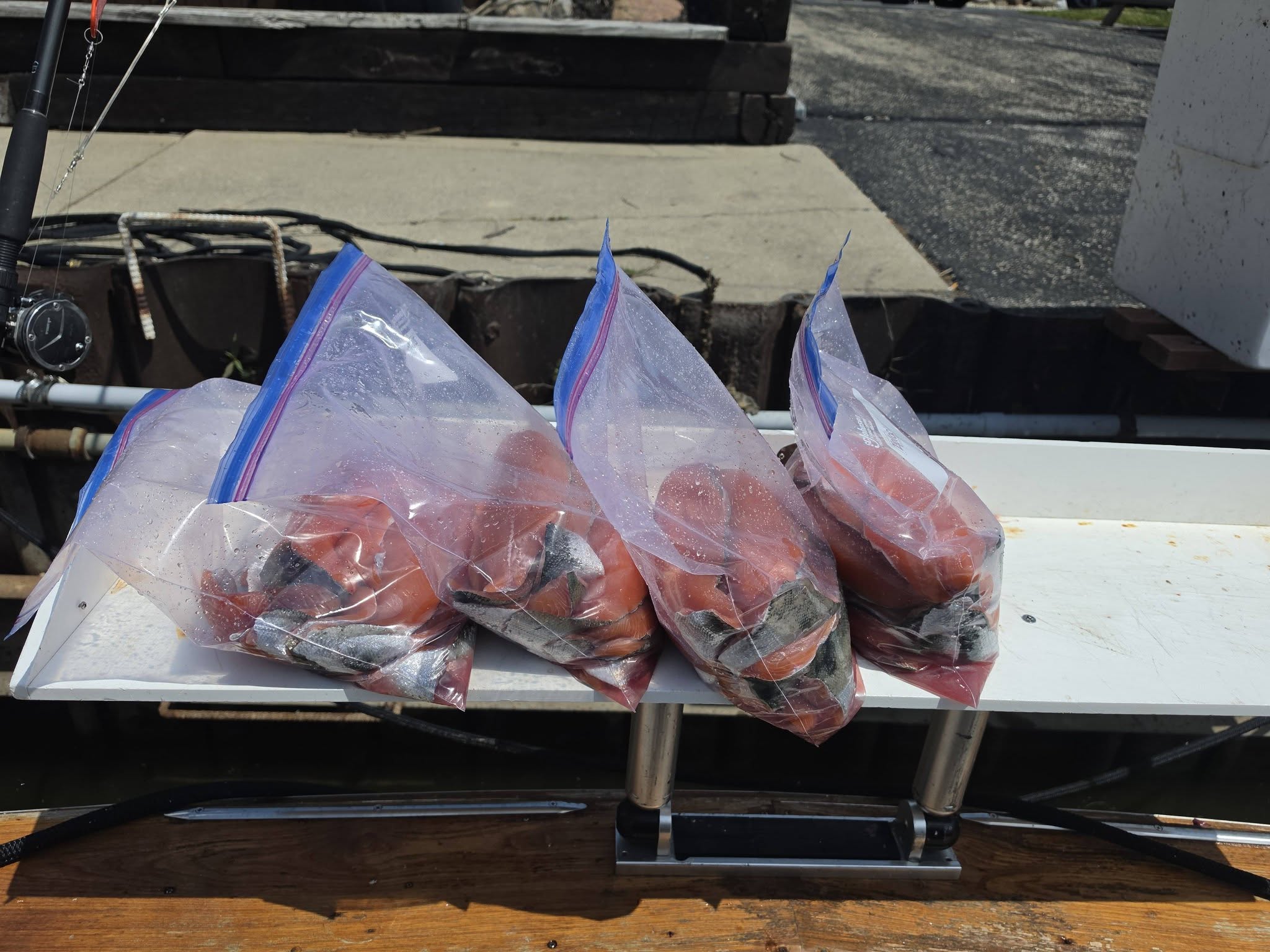 Fresh caught salmon fillets in plastic bags on boat cleaning station in Racine WI