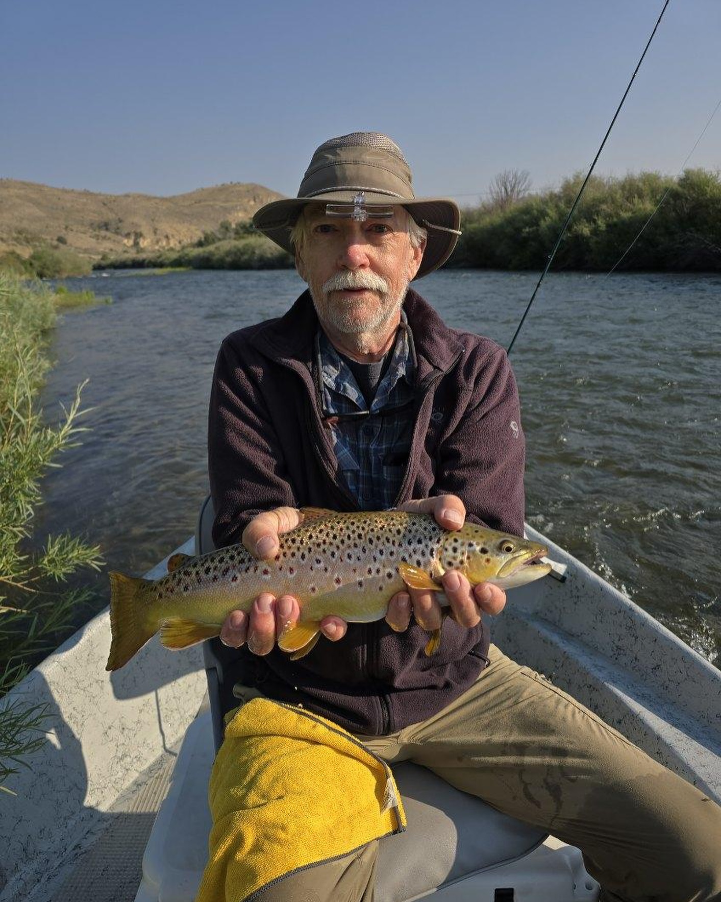 Photograph of a sea trout fish caught in Sheridan