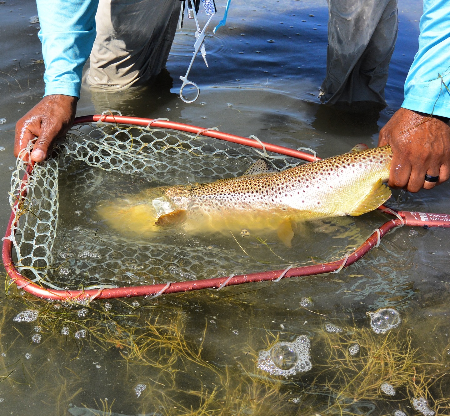 Fishing at Sheridan location