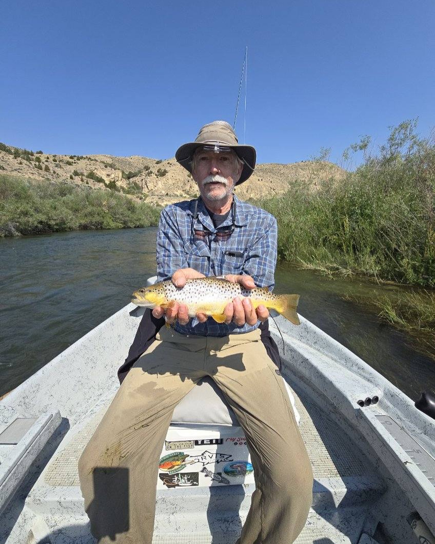 A Sea Trout fish caught during fishing in MT
