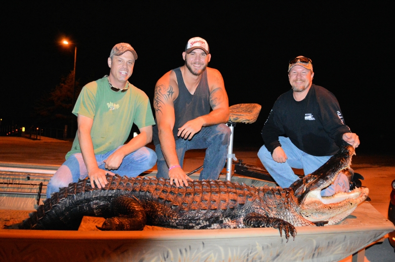 Large alligator caught fishing in Saint Cloud FL displayed on concrete surface at night