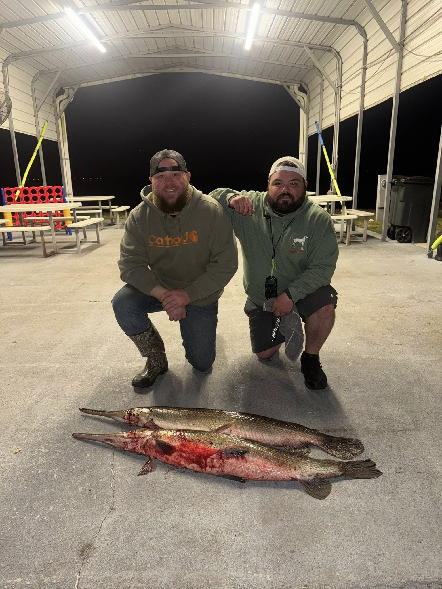 Two freshly caught gar fish displayed on concrete dock surface in Saint Cloud FL