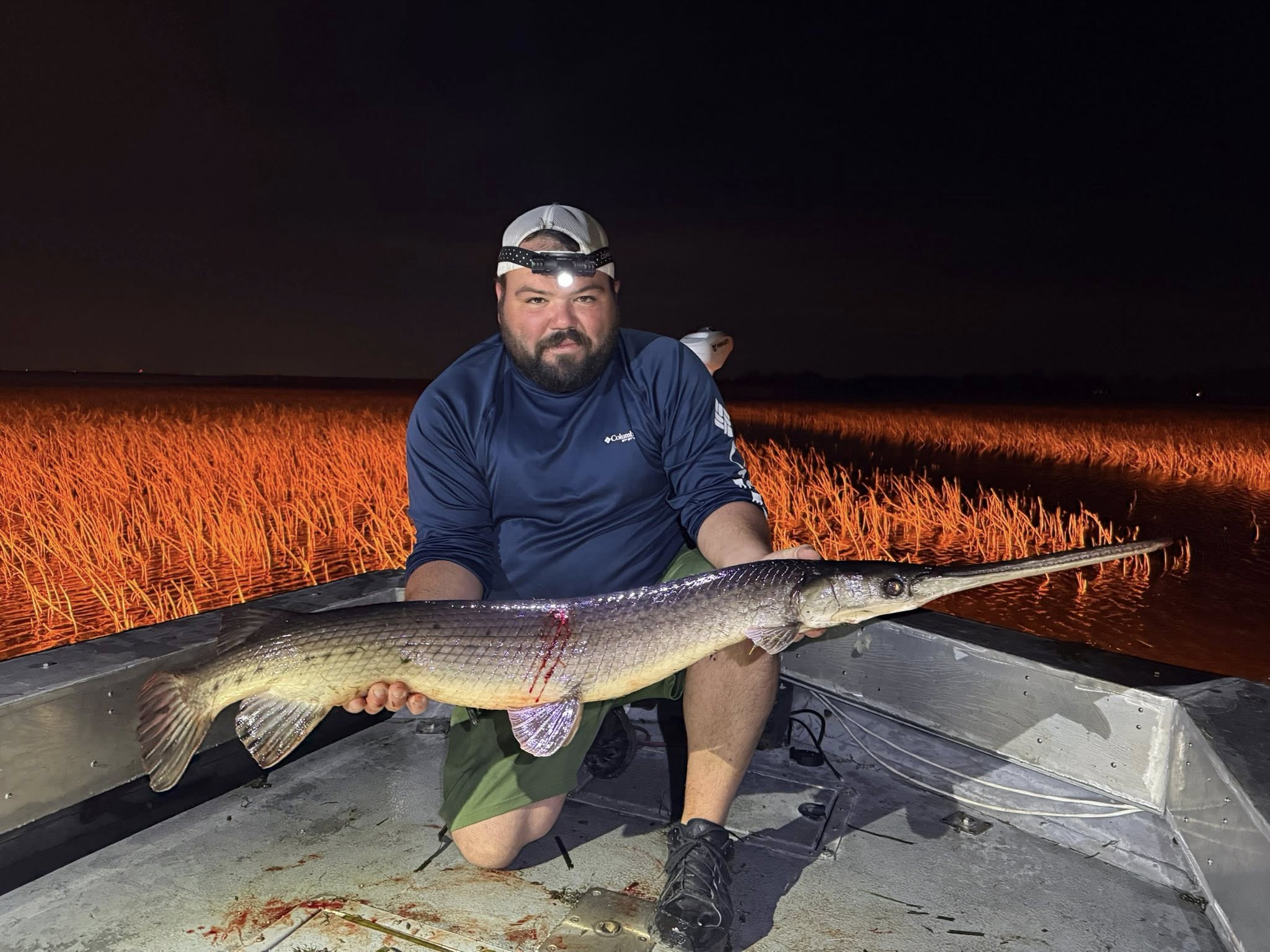 Longnose gar catch displayed on boat deck during night fishing in Saint Cloud FL