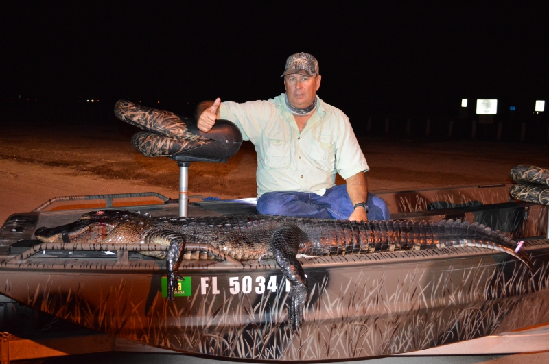 Large alligator caught during nighttime fishing trip in Saint Cloud FL