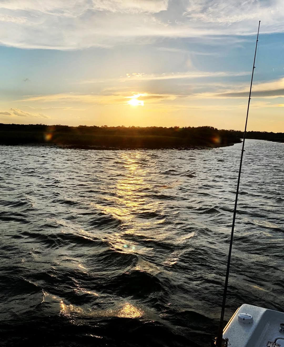 Private eco tour boat on Intercoastal waters near St. Augustine with wildlife viewing opportunities