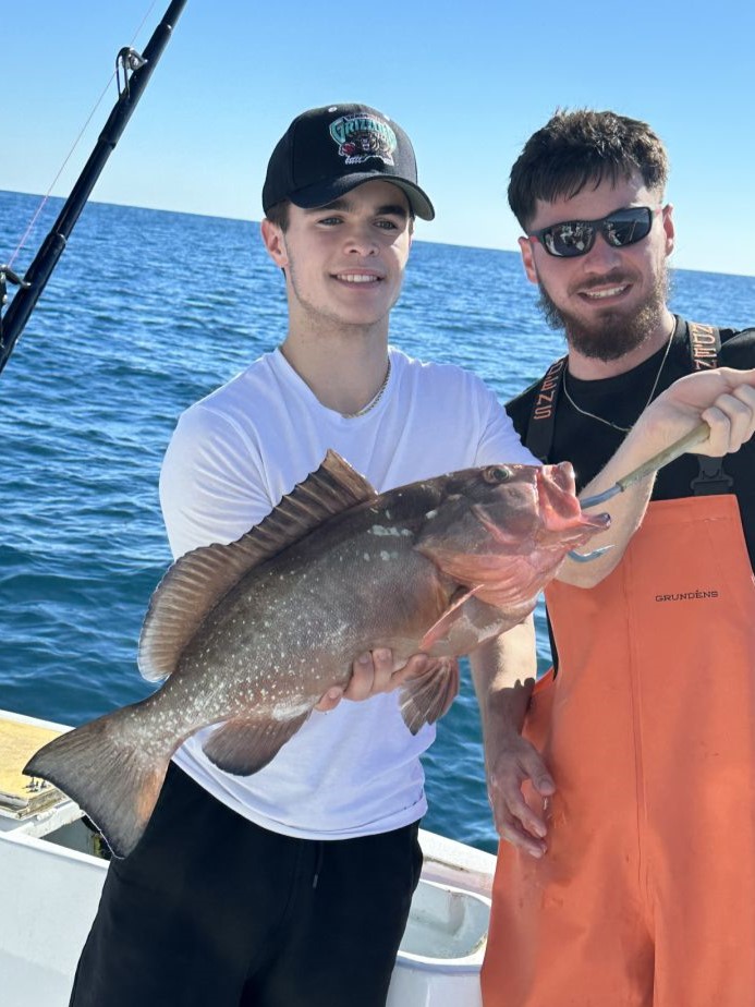 Red Grouper, a huge fish, caught while fishing in FL