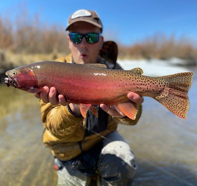 Photograph of a 25-inch rainbow trout caught in MT
